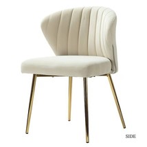 Hulala Home Ivory Velvet Side Chair Accent Chair MSM Style Retail $360 - $139.89