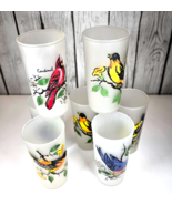 Hazel Atlas Frosted Bird Tumblers Cardinals Bluebirds Orioles 5.5” Set o... - $36.62