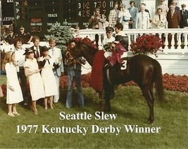 1977 - SEATTLE SLEW in the Kentucky Derby Winners Circle - Color - 10&quot; x 8&quot; - £15.80 GBP