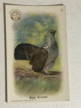 Arm &amp; Hammer Blue Grouse Victorian Trade Card VTC 5 - $3.95