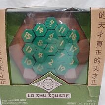 True Genius Lo Shu Square Wood Brainteaser Puzzle - $270.86 MXN