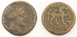 300-200 BC Grec AE20 Pièce Aeolis Amazone Kyme Cyme Cheval Sear #4192 L&amp;K #396 - £129.89 GBP