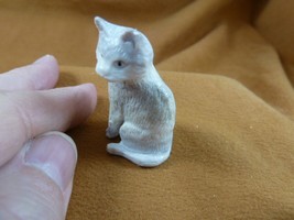 CAT-W17 little Cat kitten shed ANTLER figurine Bali detailed carving lov... - $62.41