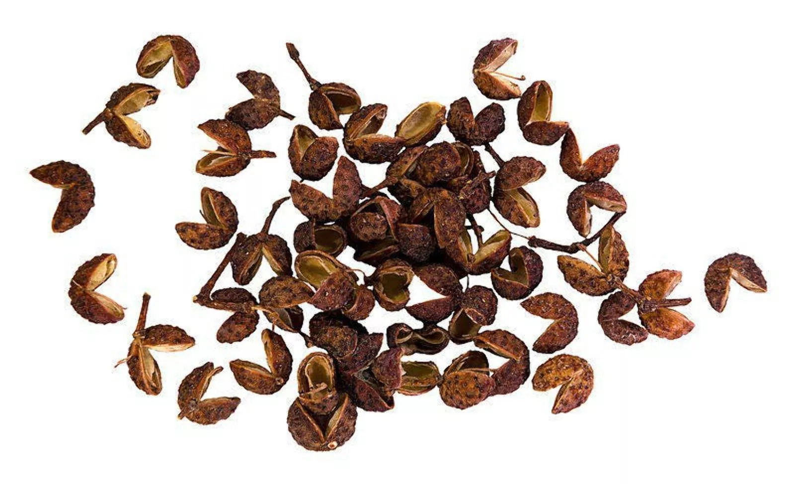 25 Szechuan Pepper Peppercorn Sichuan Szechwan Zanthoxylum Bungeanum Spice Seeds - £8.44 GBP