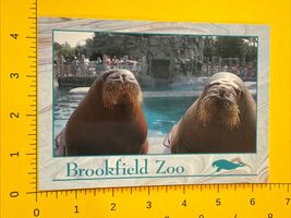1993 Postcard Walrus at Brookfield Zoo Chicago Illinois Postcard - $4.99