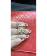 ICE SPECIAL AGENT Commercial Fraud Pin - $30.00