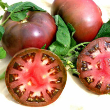 50 Seeds Cherokee Purple Tomatos Tomato Juicy Tomatoe Vegetable Garden Fresh USA - £7.45 GBP