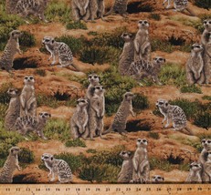 Meerkats African Animals Wildlife Scenic Nature Cotton Fabric Print BTY D482.20 - £9.94 GBP