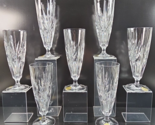 7 Princess House Royal Highlights Pilsner Glasses Set Crystal Clear Cut ... - $79.07