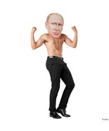 Vladimir Putin Adult Mask Russian Tsar Political Halloween Costume SEW70148 - £35.96 GBP