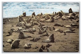 Sea Lions on the Coast of Oregon OR UNP Linen Postcard V22 - £2.31 GBP