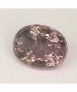 Unheated Mushroom Violet Sapphire with Gem Report Oval Purple Sapphire - $507.59