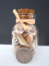 Miniature 3/4&quot; Sea Shells In Glass 3&quot; Bottle W/ Cork Top Beach Sea Decor New - £3.15 GBP
