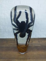Underwater Real Spider Tarantula Gear Shift Knob Acrylic Resin_c90 - £92.35 GBP