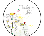 THINKING OF YOU ENVELOPE SEALS STICKERS LABELS TAGS 1.5&quot; ROUND DAISIES L... - $7.49