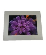 Underwater Purple Tube Coral Sponge 8x10 Matted Photo In 11x14  Signed B... - £24.74 GBP