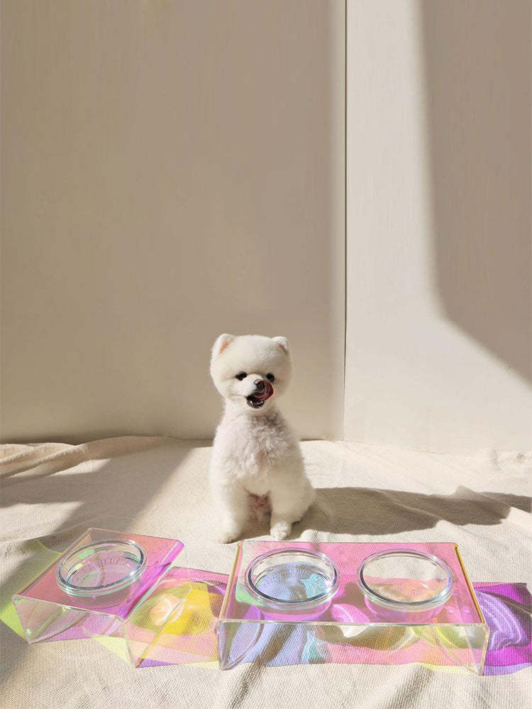 Acrylic Pet Dazzling Bowl Food Basin Small Dog - $13.30+