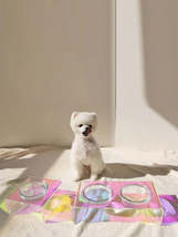Acrylic Pet Dazzling Bowl Food Basin Small Dog - £10.48 GBP+