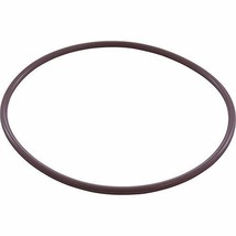 Pentair R172223 Housing O-Ring Replacement Pool/Spa Filter and Leaf Traps - £2.20 GBP