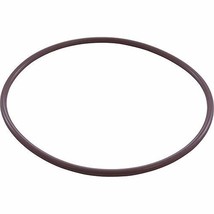 Pentair R172223 Housing O-Ring Replacement Pool/Spa Filter and Leaf Traps - £6.77 GBP