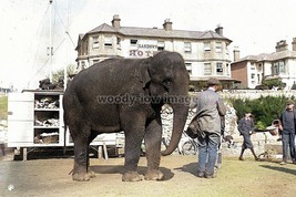 iwc021 - Circus Elephant on Sandown Beach , Isle of Wight - print 6x4 - $2.80