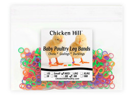 500 Chick Leg Bands ~ 1/4&quot; MED Size 4 Baby Poultry Mix of 4 colors - £13.58 GBP