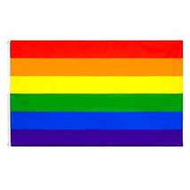 Sexual Inclusive 3x5FT Rainbow Pride Flag Banner Lgbtq Gay Lesbian Love Equal Us - £10.37 GBP
