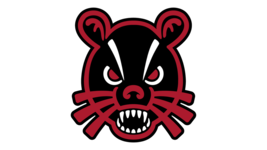 o Cincinnati Bearcats NCAA College Team Logo Poster Print - $24.74