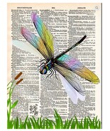 Art N Wordz Dragonfly Dictionary Page Pop Art Wall or Desk Art Print Poster - €21,30 EUR