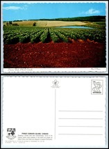 CANADA Postcard - Prince Edward Island, Potato Field near Charlottetown B7 - $2.96