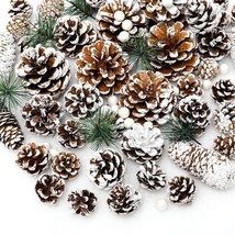 170Pcs Christmas Pine Cones Berry Pine Branch Set Snow Pinecones Pendant White W - £32.42 GBP