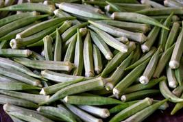 100 Seeds Okra Clemson Spineless Heirloom Vegetable Non-Gmo - £7.50 GBP