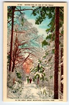 Winter Time On The Trails Great Smoky Mountains North Carolina Postcard Unused - £13.69 GBP