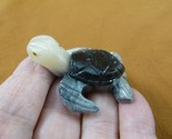 (Y-TUR-SET-52) little brown tan SEA TURTLE carving stone gemstone SOAPST... - £6.92 GBP