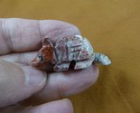 (y-ARM-18) little red gray ARMADILLO carving SOAPSTONE gem PERU FIGURINE... - £6.97 GBP