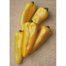 Corno Di Toro Yellow Sweet Pepper 50 Seeds #MBG02  - $18.17