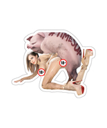 Erotic H Sticker: Porking With E. Watson (2 Versions) - £4.38 GBP+