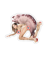 Erotic H Sticker: Porking With E. Watson (2 Versions) - $5.57+