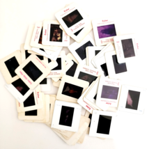 1980s Animals Lot Of 57 Pcs 35mm Slides Mammals Reptiles Turtles Vintage... - €30,24 EUR