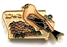Iowa Goldfinch Flower Souvenir Pin State Shape Wildlife Bird Travel Coll... - $9.99
