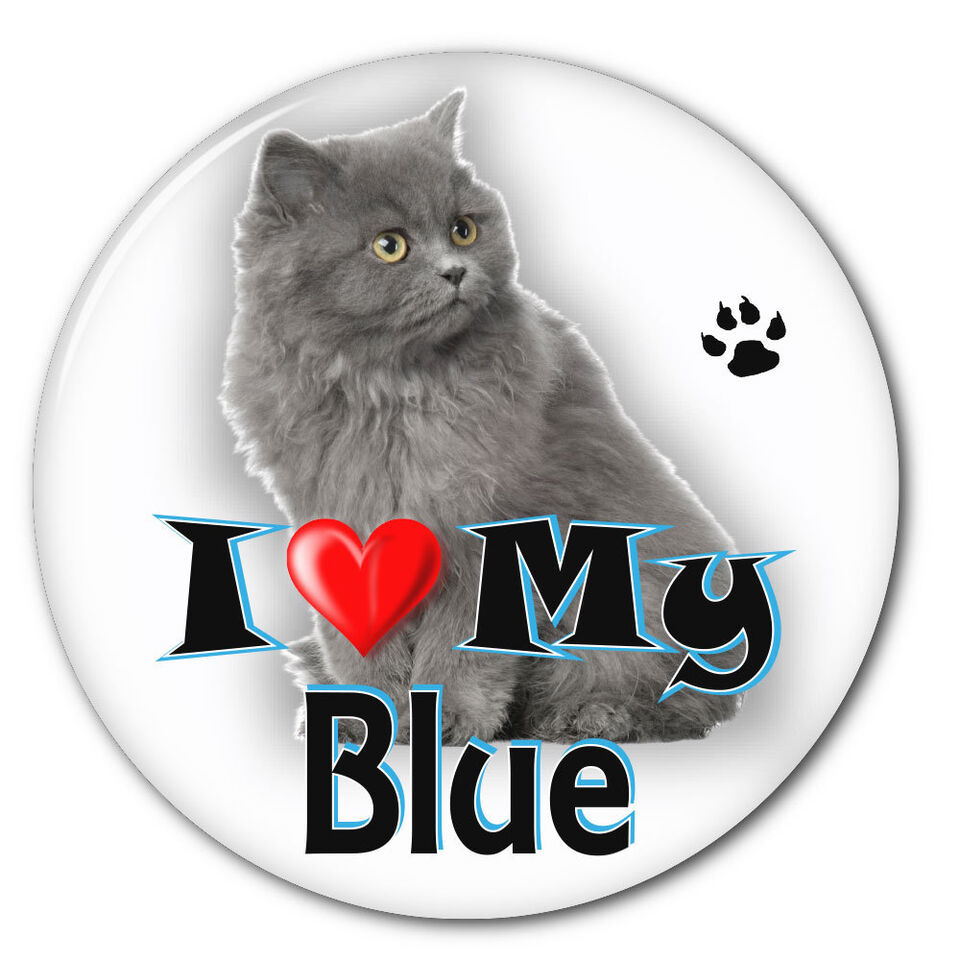 I LOVE MY RUSSIAN BLUE KITTEN CAT 3&quot; SAFETY PIN BACK BUTTON - $6.29