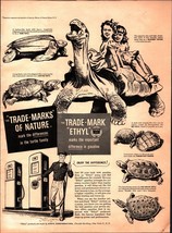 Vintage 1950 Ethyl Gasoline Trade Marks Of Nature Galapagos Tortoise ad E5 - $24.11