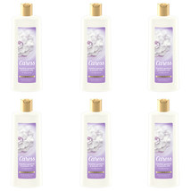 6-Pack New Caress Body Wash for Dry Skin Brazilian Gardenia &amp; Coconut Mi... - £59.14 GBP