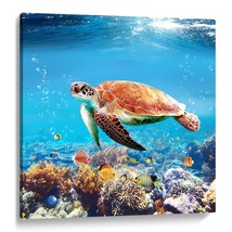 Bathroom Turtle Picture Wall Art Ocean Undersea Aquatic Animal Nature Photo Prin - $13.99