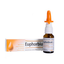 EUPHORBIUM COMPOSITUM nasal spray 20 ml HEEL (PACK OF 4 ) - £54.67 GBP