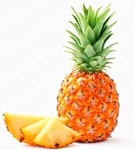 Pineapple Seeds Fruit New Fresh Seeds USA - $13.80