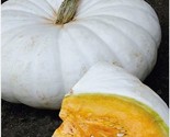 White Flat Boer Ford Stacker Pumpkin Seeds  Cucurbita Vegetable Organic ... - $4.25+