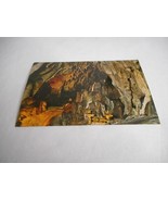 Vintage Postcard unposted Indian Caverns Spruce Creek PA Petrified Fores... - $133.92 MXN