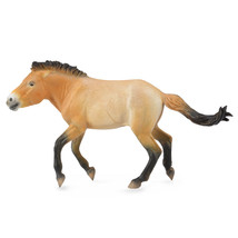CollectA Przewalski Stallion Figure (Extra Large) - $22.54
