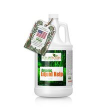 Liquid Kelp Organic Seaweed Extract Fertilizer OMRI Listed 1 Gallon Conc... - €33,64 EUR